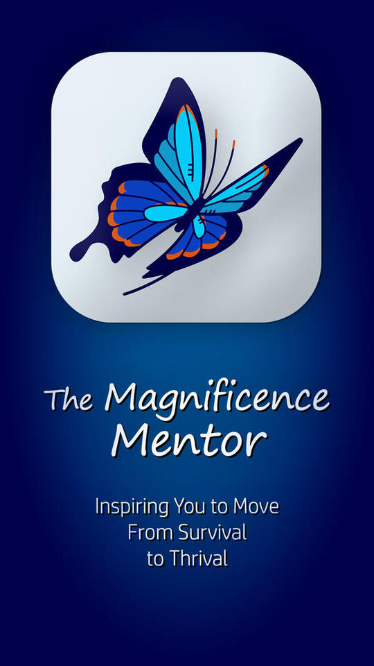 The Magnificence Mentor